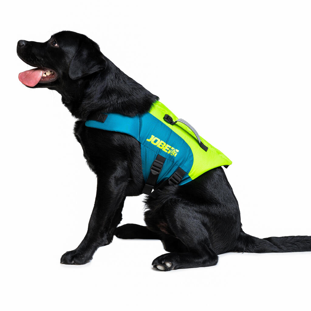 LIFE VEST FOR DOGS FOR USE DURING STAND UP PADDLE BOARDING, KAYAKING, SAILING